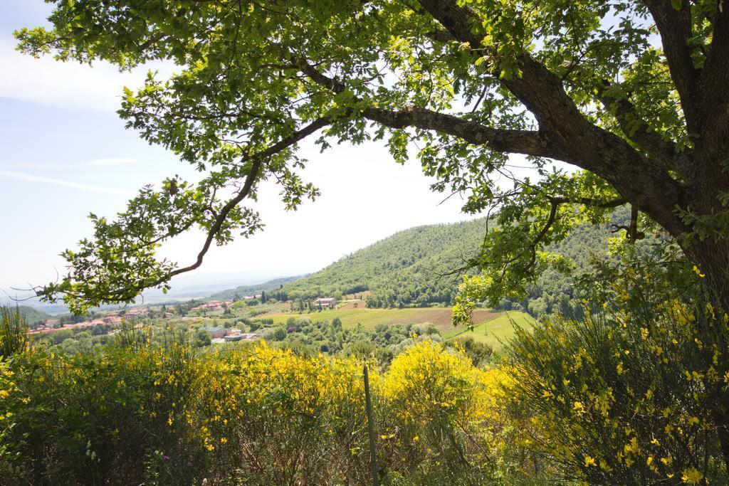 Hotel Panoramic Montepulciano Stazione Eksteriør bilde