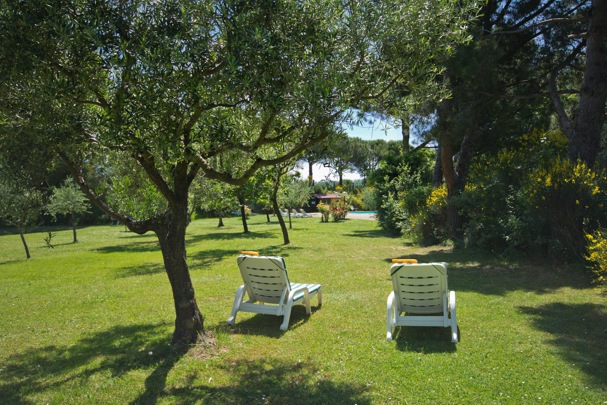 Hotel Panoramic Montepulciano Stazione Eksteriør bilde