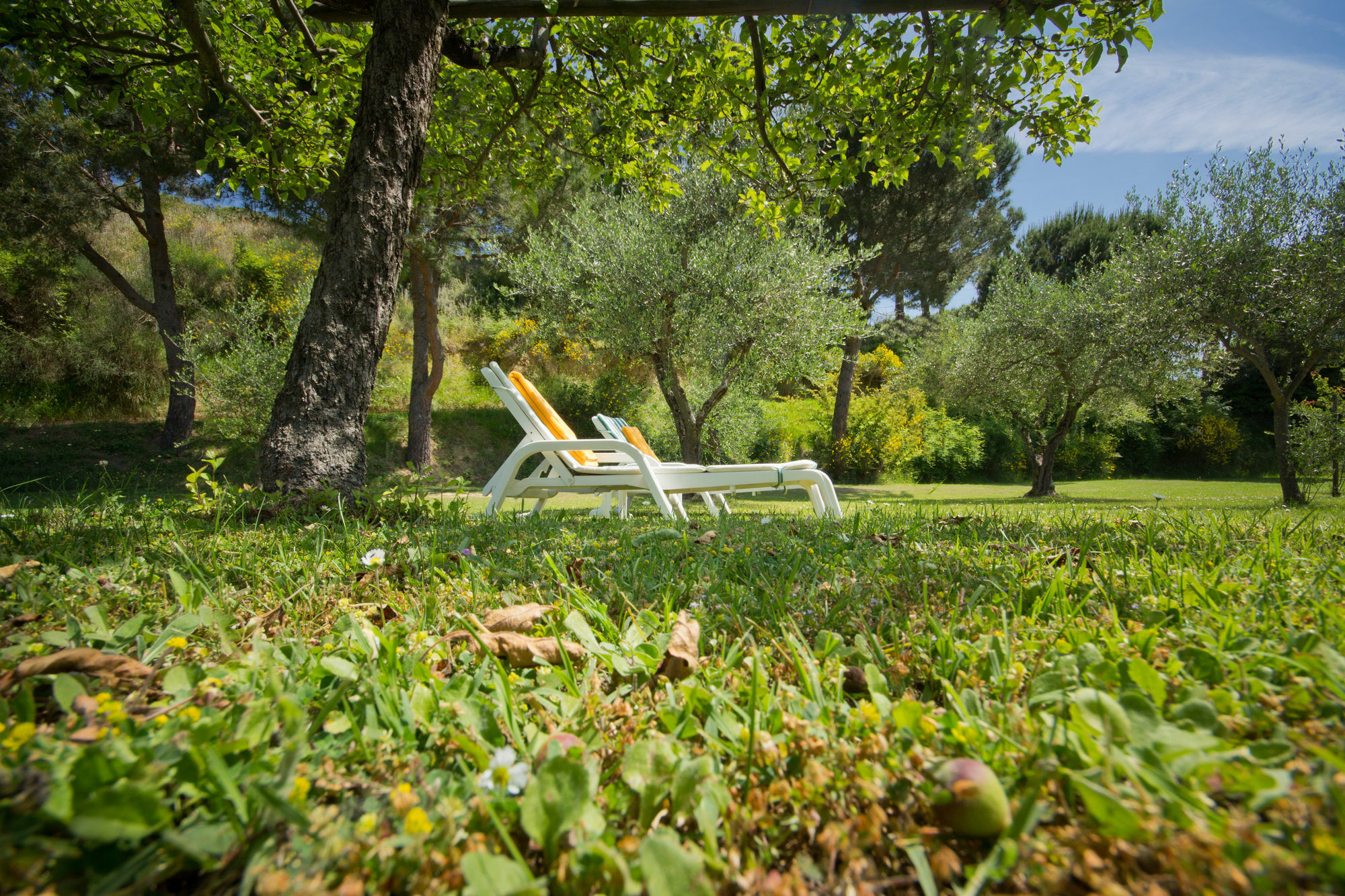 Hotel Panoramic Montepulciano Stazione Eksteriør bilde